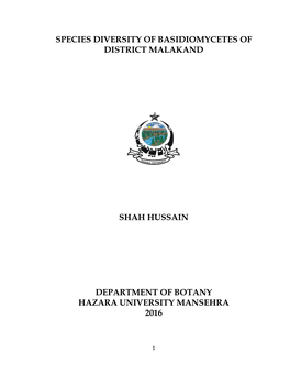 Shah Hussain Phd Thesis.Pdf