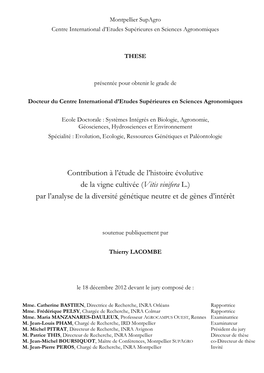 Manuscrit De Thèse T. Lacombe 2012