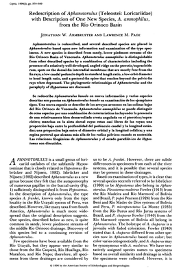 Redescription of Aphanotorulus (Teleostei: Loricariidae) with Description of One New Species, A