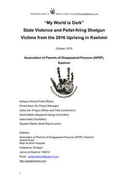 State Violence and Pellet-Firing Shotgun Victims from the 2016 Uprising in Kashmir