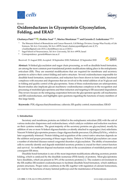 Oxidoreductases in Glycoprotein Glycosylation, Folding, and ERAD