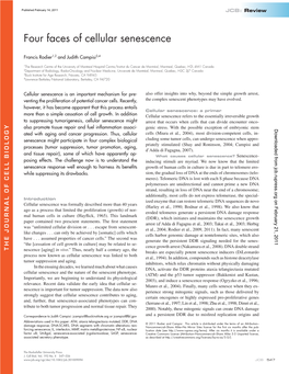 Four Faces of Cellular Senescence