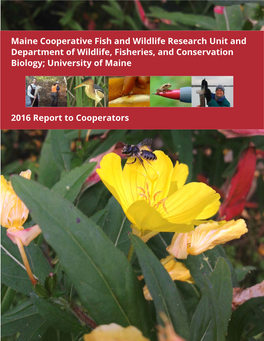 Maine Cooperative Fish and Wildlife Research Unit and Department of Wildlife, Fisheries, and Conservation Biology; University of Maine