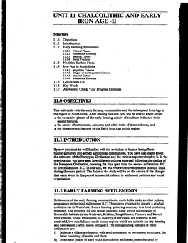 Unit 11 Chalcolithic and Early Iron Age -11