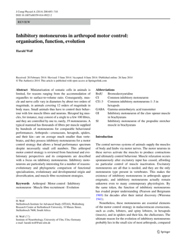 Inhibitory Motoneurons in Arthropod Motor Control: Organisation, Function, Evolution