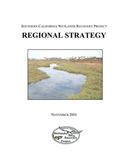 Southern California Wetlands Recovery Project Regional Strategy