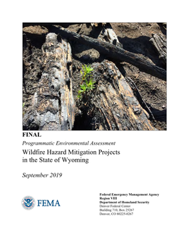 Final Programmatic Environmental Assessment: Wildfire Hazard