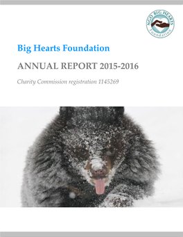 ! Big Hearts Foundation ANNUAL REPORT 2015-2016