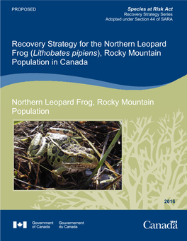 Northern Leopard Frog (Lithobates Pipiens), Rocky Mountain Population in Canada