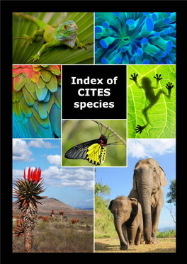 Index of CITES Species All 2