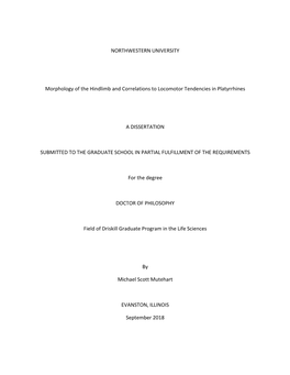 NORTHWESTERN UNIVERSITY Morphology of the Hindlimb and Correlations to Locomotor Tendencies in Platyrrhines a DISSERTATION SUBMI