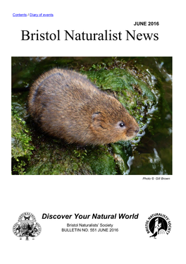 Bristol Naturalist News