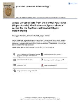 A New Miocene Skate from the Central Paratethys (Upper Austria): the First Unambiguous Skeletal Record for the Rajiformes (Chondrichthyes: Batomorphii)