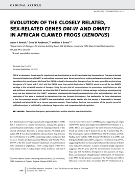 Evolution of the Closely Related, Sexrelated Genes Dmw and Dmrt1 in African Clawed Frogs