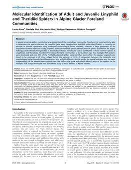 Molecular Identification of Adult and Juvenile Linyphiid and Theridiid Spiders in Alpine Glacier Foreland Communities