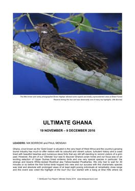 Ghana (Ultimate) Tour Report 2016