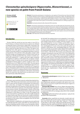 (Hypocreales, Bionectriaceae), a New Species on Palm from French Guiana