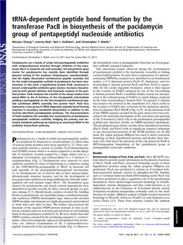 Trna-Dependent Peptide Bond Formation by the Transferase Pacb in Biosynthesis of the Pacidamycin Group of Pentapeptidyl Nucleoside Antibiotics