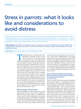 Stress in Parrots: What It Looks Like and Considerations to Avoid Distress