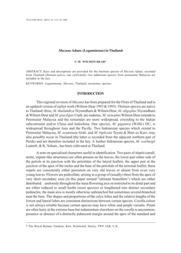 Mucuna Adans. (Leguminosae) in Thailand INTRODUCTION This