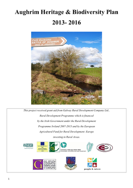 Aughrim Heritage & Biodiversity Plan 2013