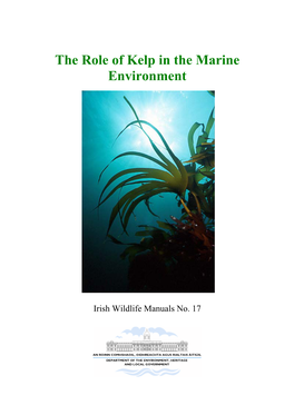 The Role of Kelp in the Marine Environment
