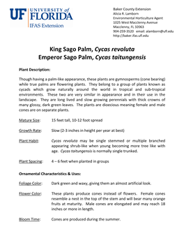 King Sago Palm, Cycas Revoluta Emperor Sago Palm, Cycas Taitungensis