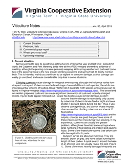 Figure 1. Climbing Cutworm Larva Near Base of Vine, with Dime for Size