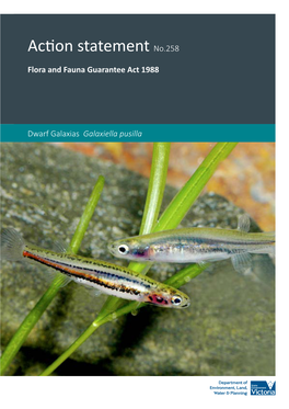 Dwarf Galaxias Galaxiella Pusilla © the State of Victoria Department of Environment, Land, Water and Planning 2015
