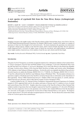 A New Species of Cyprinoid Fish from the Tana River, Kenya (Actinopterygii: Danionidae)