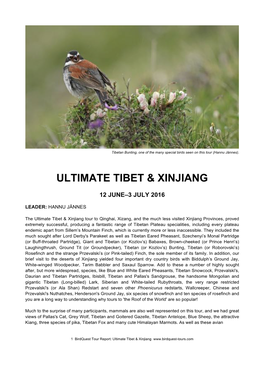 ULTIMATE TIBET 2016 REPORT Final