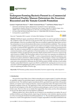 Endospore-Forming Bacteria Present in a Commercial Stabilized Poultry Manure Determines the Fusarium Biocontrol and the Tomato Growth Promotion