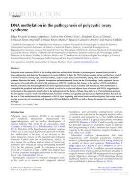 DNA Methylation in the Pathogenesis of Polycystic Ovary Syndrome