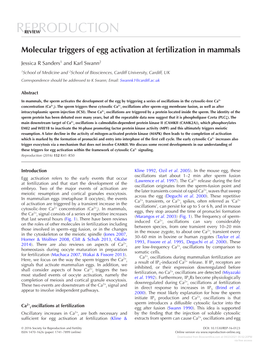 Molecular Triggers of Egg Activation at Fertilization in Mammals