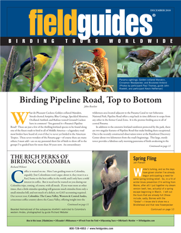 Birding Pipeline Road, Top to Bottom John Rowlett