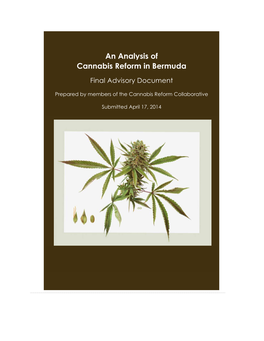 An Analysis of Cannabis Reform in Bermuda