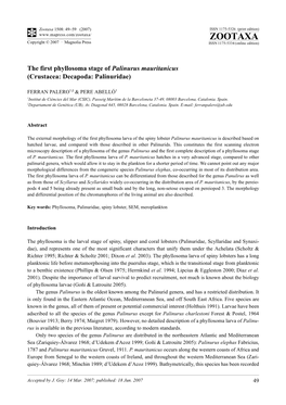 Zootaxa,The First Phyllosoma Stage of Palinurus Mauritanicus