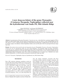 A New Deep-Sea Lobster of the Genus Thymopides (Crustacea: Decapoda: Nephropidae) Collected Near the Hydrothermal Vent Snake Pit, Mid-Atlantic Ridge