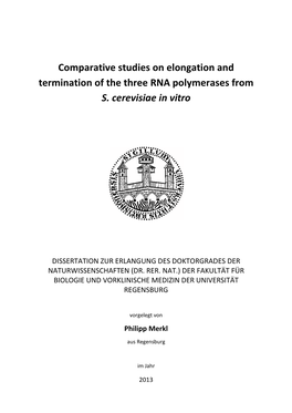 Comparative Studies on Elongation and Termination of the Three RNA Polymerases from S