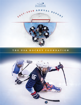 The USA HOCKEY Foundation Our Mission