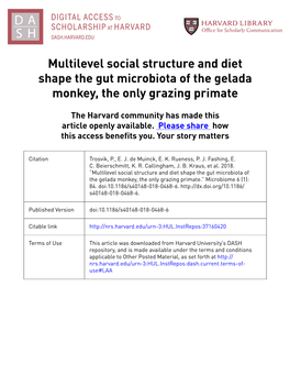 Multilevel Social Structure and Diet Shape the Gut Microbiota of the Gelada Monkey, the Only Grazing Primate