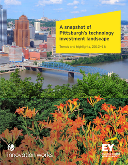 Pittsburgh's Technology Investment Landscape 2012-2016