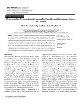 Short Communication First Report of the Fireworm Hermodice Carunculata (Annelida: Amphinomidae) Preying on a Sea Cucumber