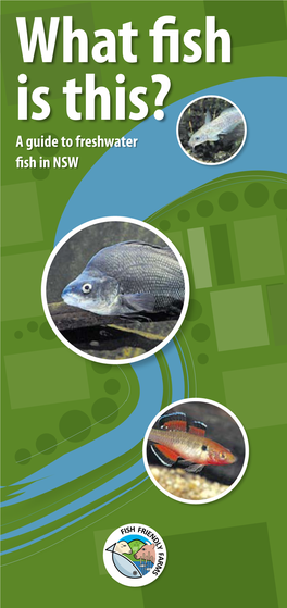 A Guide to Freshwater Fish in NSW