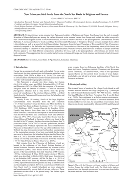 New Paleocene Bird Fossils from the North Sea Basin in Belgium and France