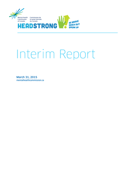 Interim Report