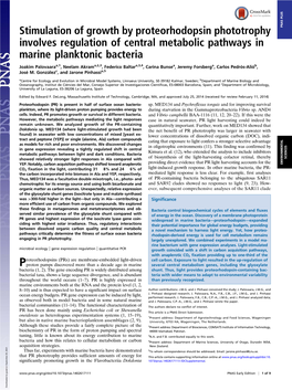Stimulation of Growth by Proteorhodopsin Phototrophy PNAS PLUS Involves Regulation of Central Metabolic Pathways in Marine Planktonic Bacteria