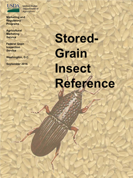 Stored Grain Insects