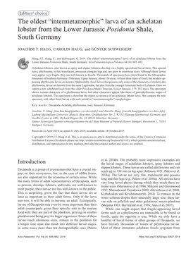 Larva of an Achelatan Lobster from the Lower Jurassic Posidonia Shale, South Germany