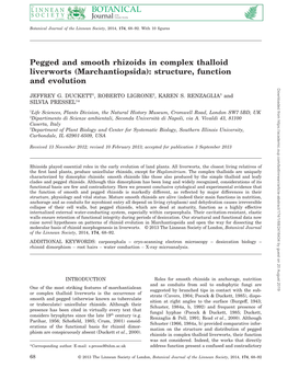 Pegged and Smooth Rhizoids in Complex Thalloid Liverworts